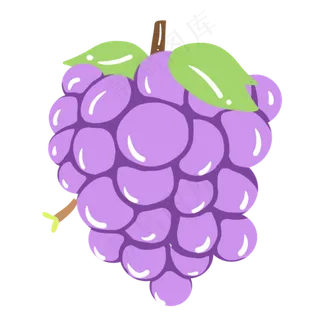 一串紫色葡萄插图