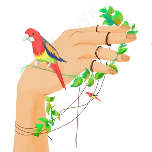 手创意绿色鸟植物PNG装饰幻想