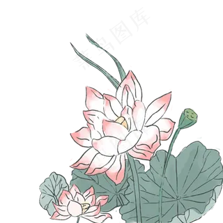 中国风古典淡雅风格荷花