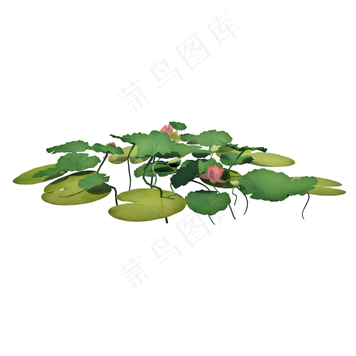 立体池塘荷叶png图(2000X2000(DPI:300))psd模版下载