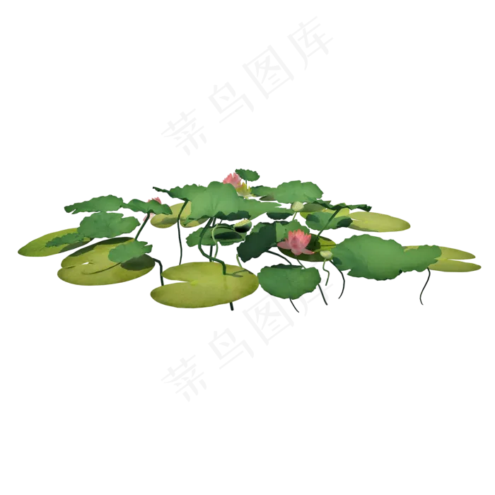立体池塘荷叶png图(2000X2000(DPI:300))psd模版下载