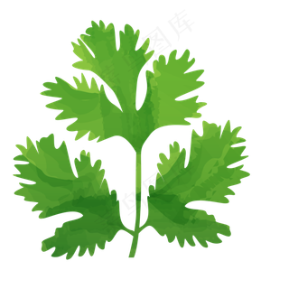 绿色叶子植被生长免抠图