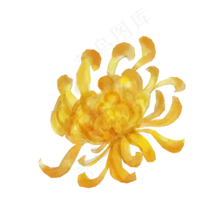 重阳节卡通免抠菊花卡通