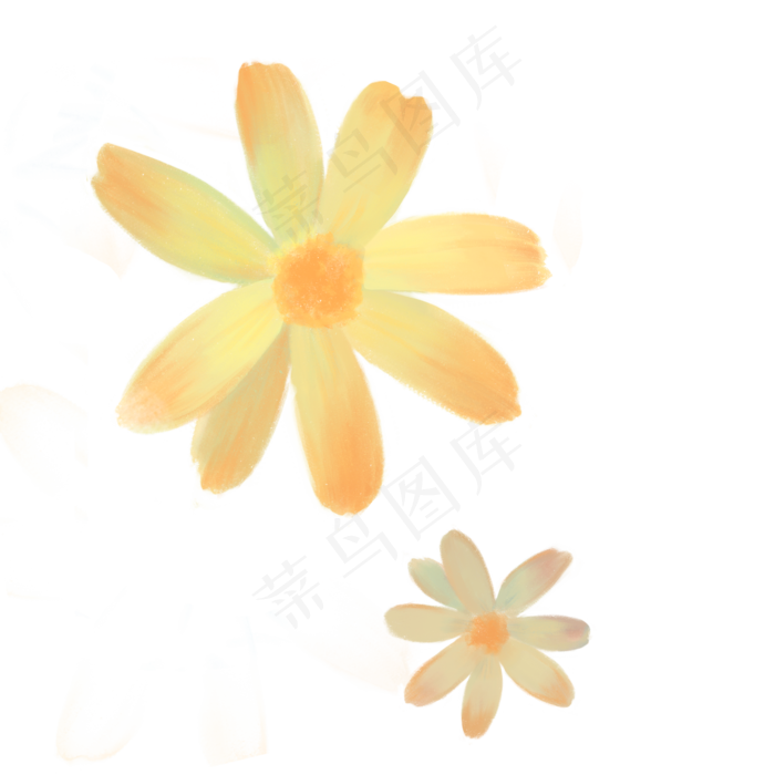 黄色花朵