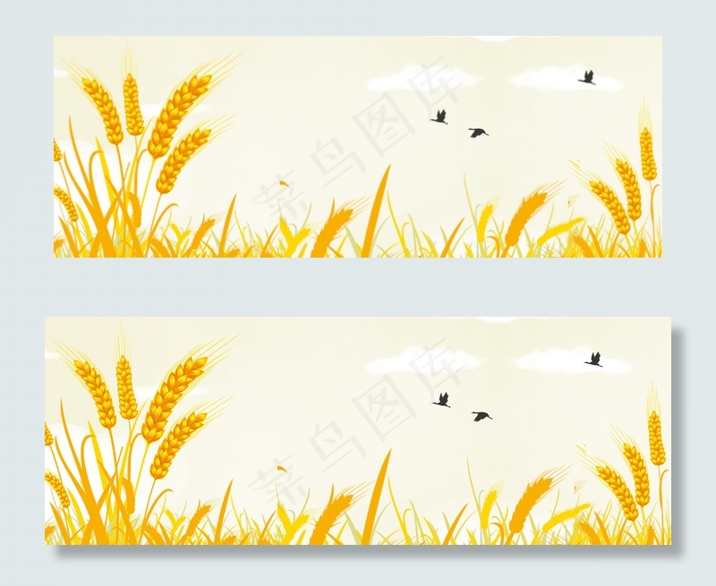 传统芒种节气小麦海报背景