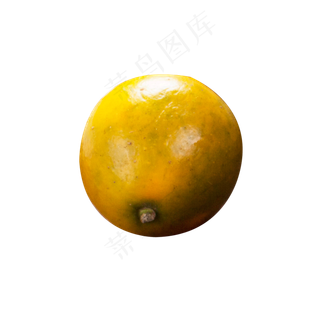 一个新鲜的小金桔