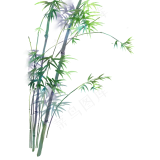 卡通手绘中国风竹子