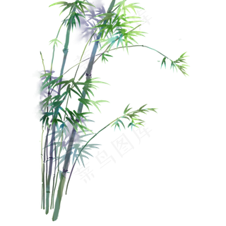 卡通手绘中国风竹子