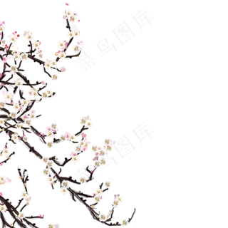 春季春天桃花,免抠元素