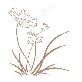 线条典雅荷花png,免抠元素