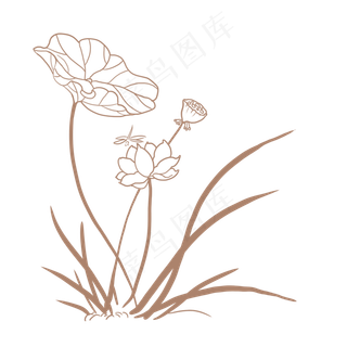 线条典雅荷花png,免抠元素