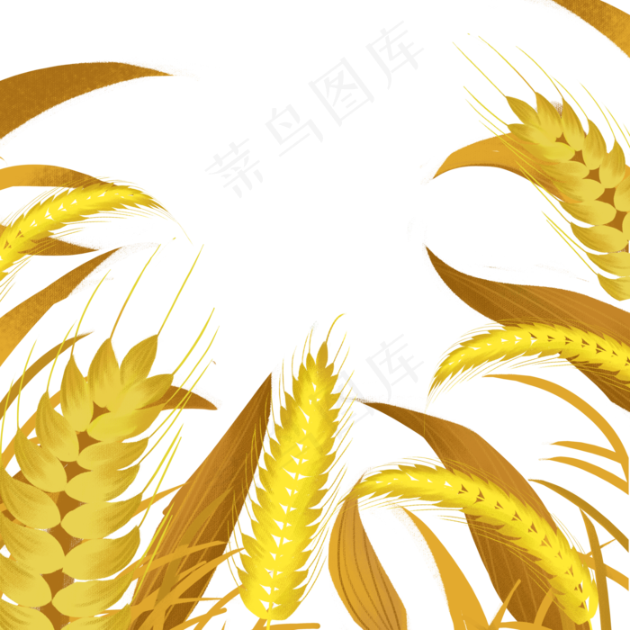 卡通金黄色的麦子