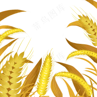 卡通金黄色的麦子