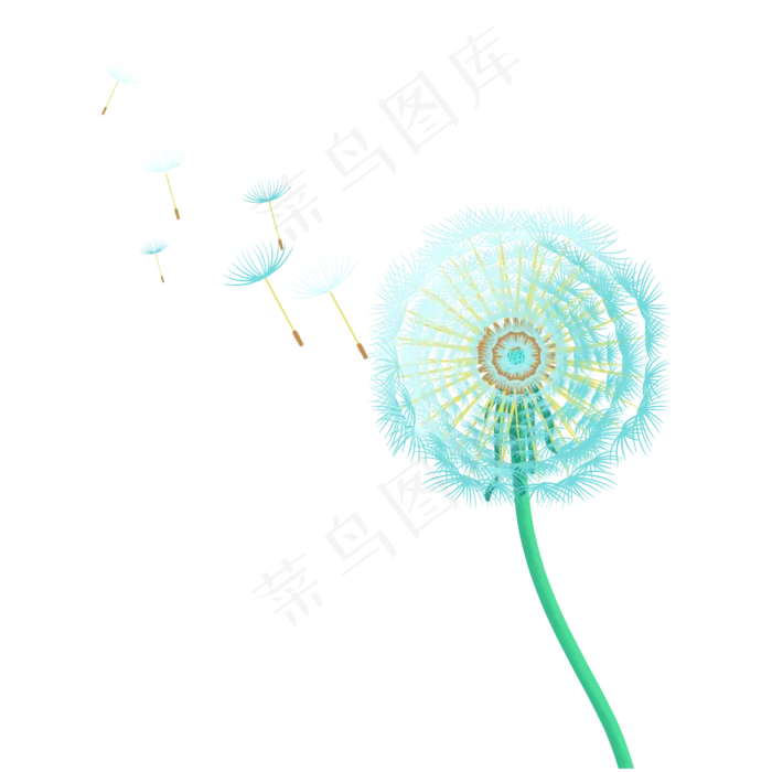 蒲公英绿植,免抠元素(2048X2048(DPI:300))psd模版下载
