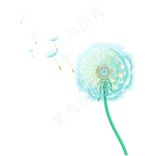 蒲公英绿植,免抠元素