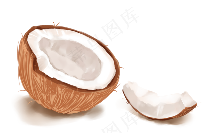 水果主题之椰子插画