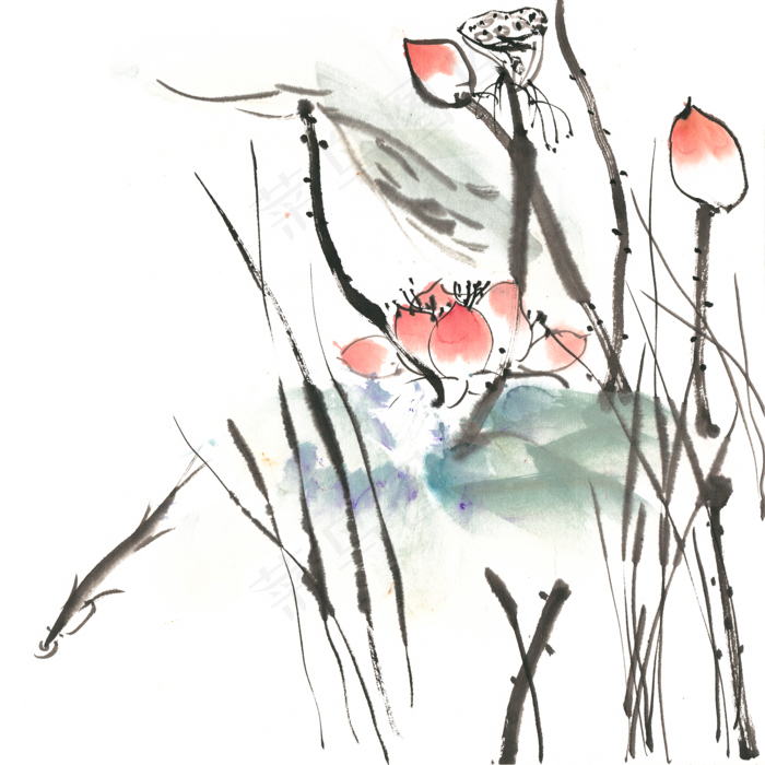荷花与鱼水墨画PNG免抠素材(4724X4724(DPI:300))psd模版下载