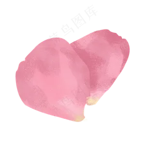 情人节玫瑰花瓣png下载