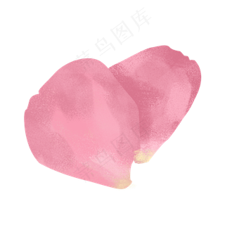 情人节玫瑰花瓣png下载