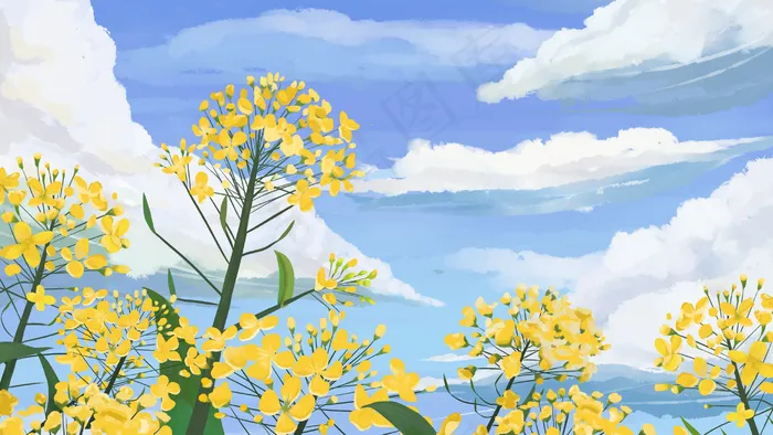 通用油菜花治愈美景