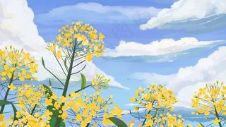 通用油菜花治愈美景