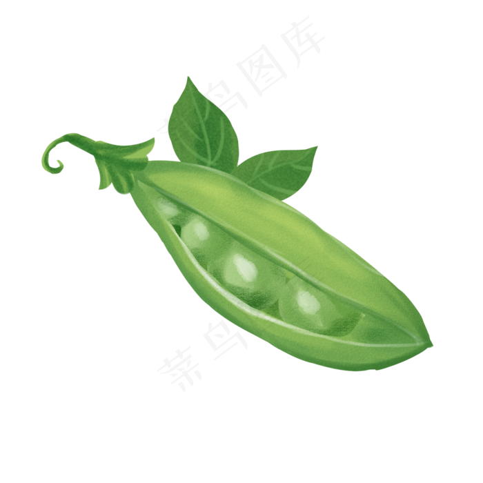 手绘蜡笔可爱小豌豆(1000X1000(DPI:300))psd模版下载