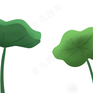 绿叶卡通荷花植物