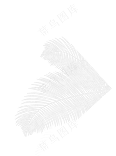 端午节叶子纹理