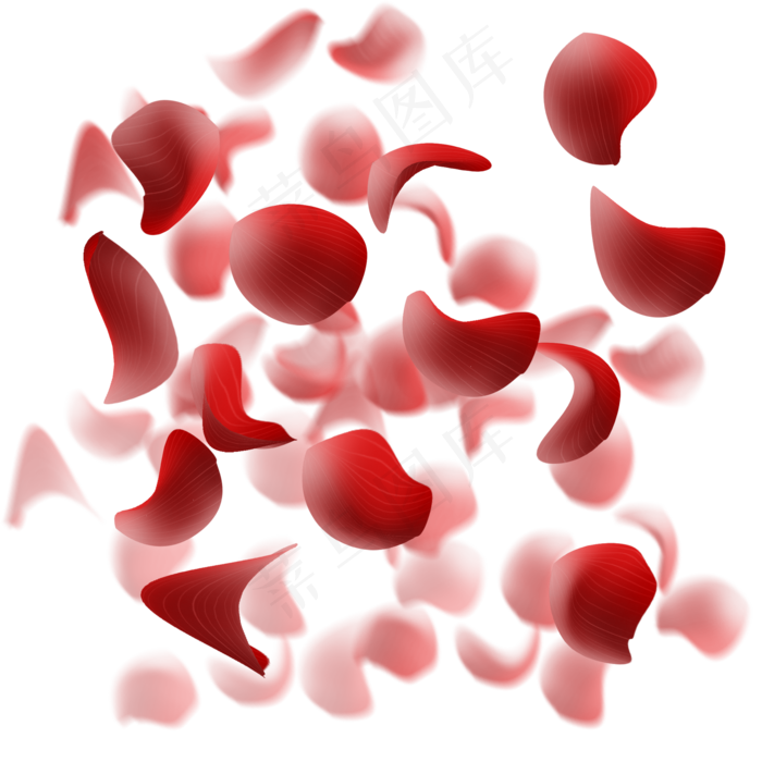 红色玫瑰撒花(2000X2000(DPI:299))psd模版下载