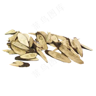 板蓝根中药药材,免抠元素