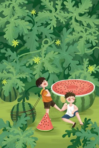 夏天夏季西瓜小清新立夏夏至大暑节气