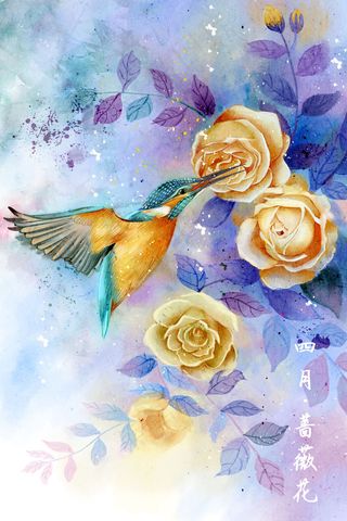 水彩花鸟画十二月花信之四月蔷薇花