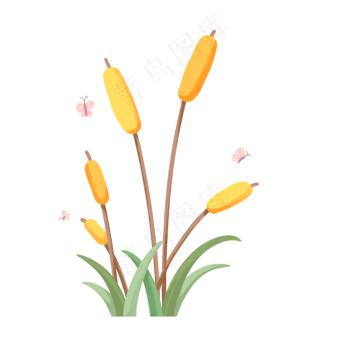 清新唯美二十四节气小满麦穗