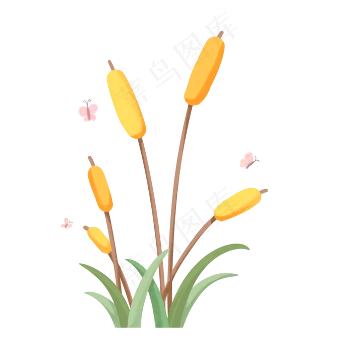 清新唯美二十四节气小满麦穗