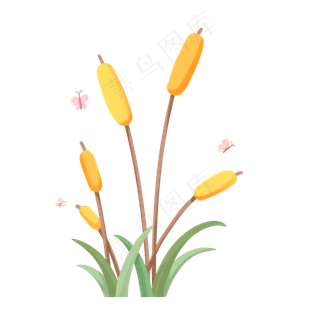 清新唯美二十四节气小满麦穗