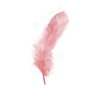 梦幻水彩彩色羽毛