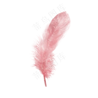 梦幻水彩彩色羽毛