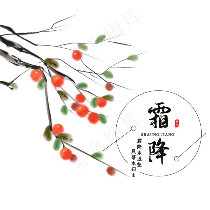二十四节气霜降柿子