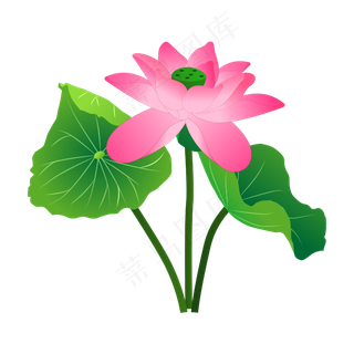 手绘卡通免扣荷花