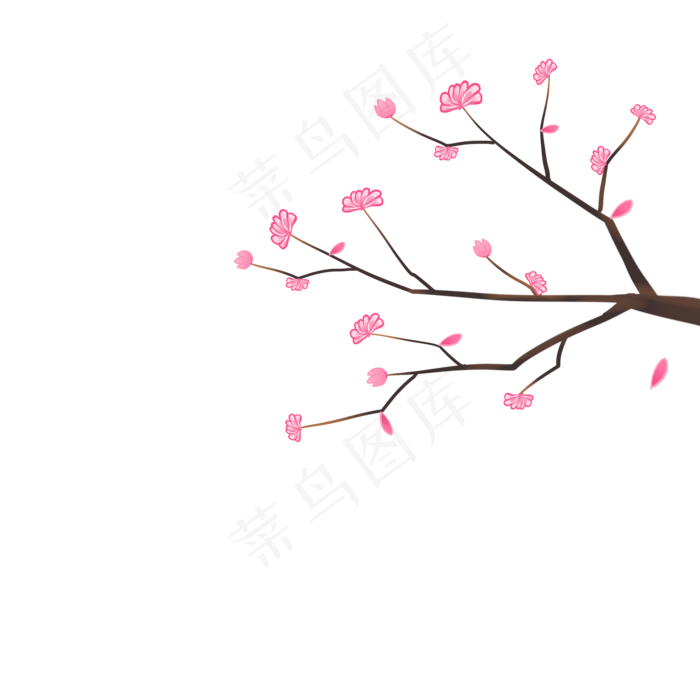 春天美丽的花枝插画