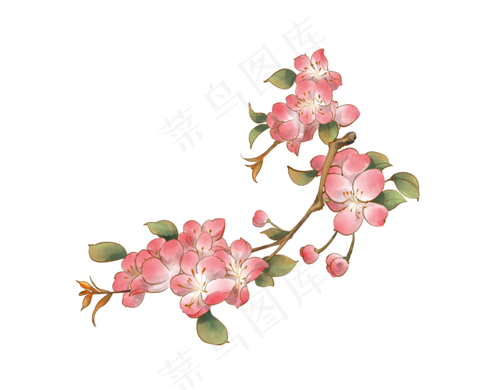 古风水墨樱花花朵,免抠元素