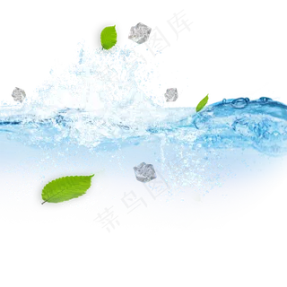 叶子冰块美妆装饰