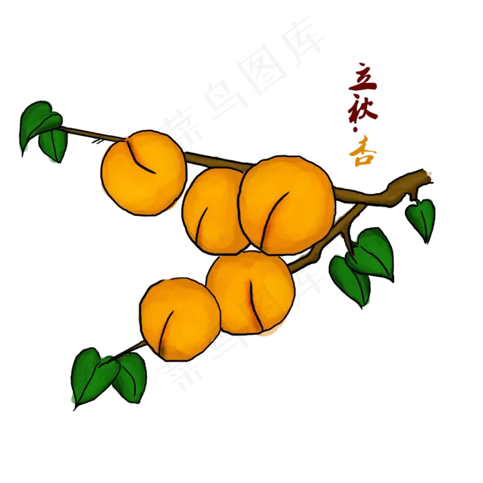 立秋24二十四节气商用元素黄杏,免抠元素(1024*1369px 72 dpi )psd模版下载