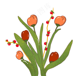 手绘花束植物PNG装饰素材