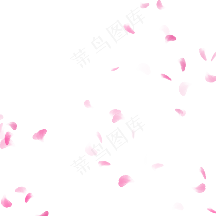 飘舞粉色唯美玫瑰花瓣