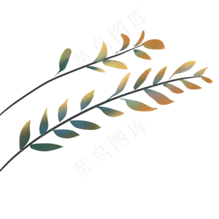 两片叶子发红的叶子