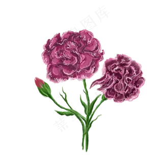 一株三朵花免抠插图