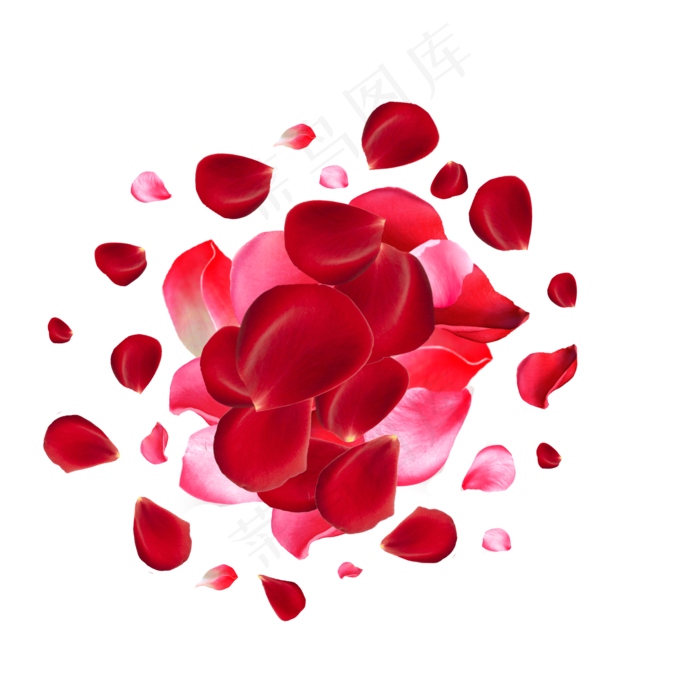 浪漫爱情玫瑰花