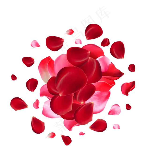 浪漫爱情玫瑰花(2000X2000(DPI:300))psd模版下载