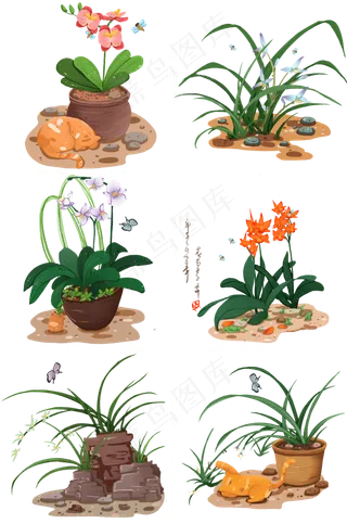 蝴蝶兰兰花兰草盆栽免抠元素